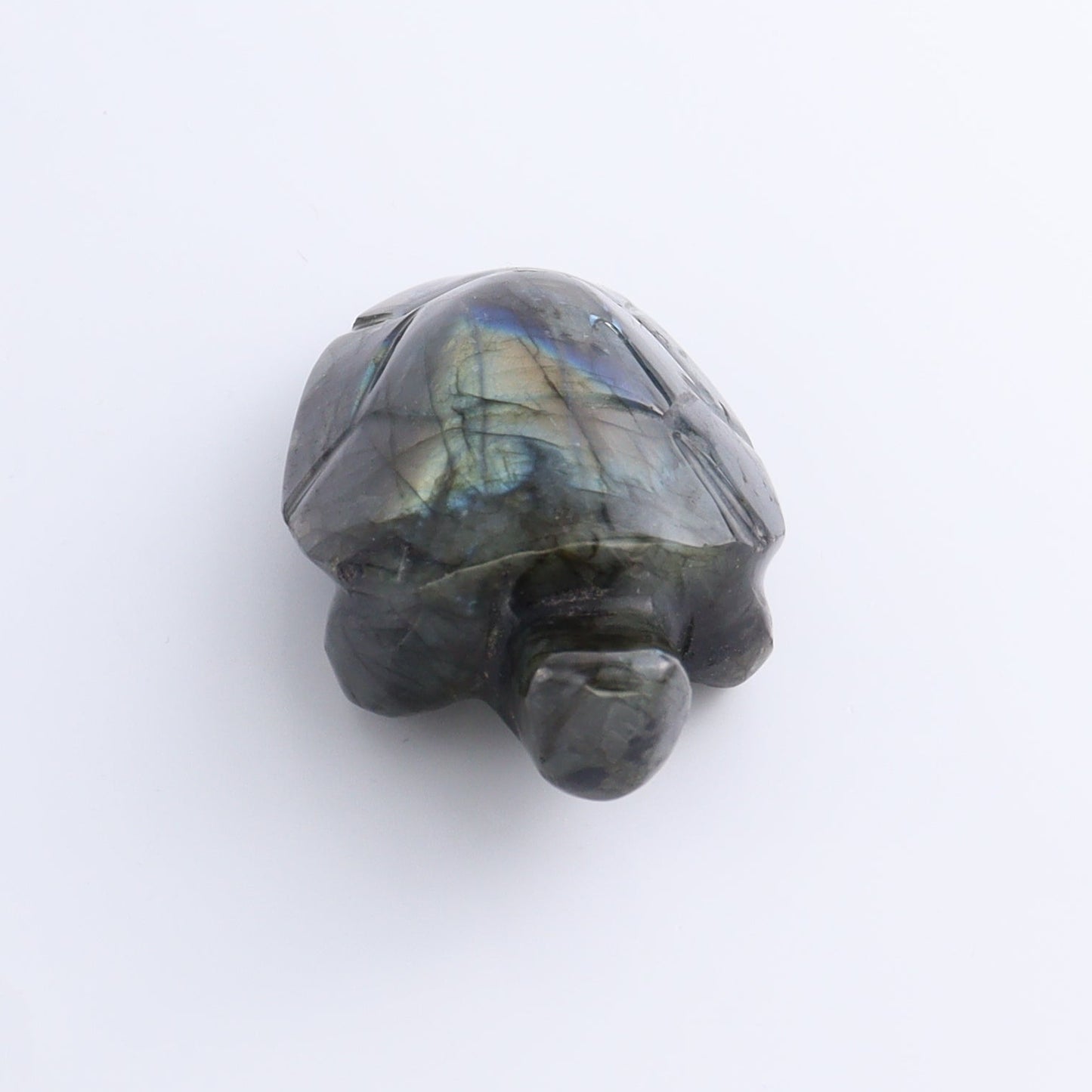 Labradorite Turtles Set of 5