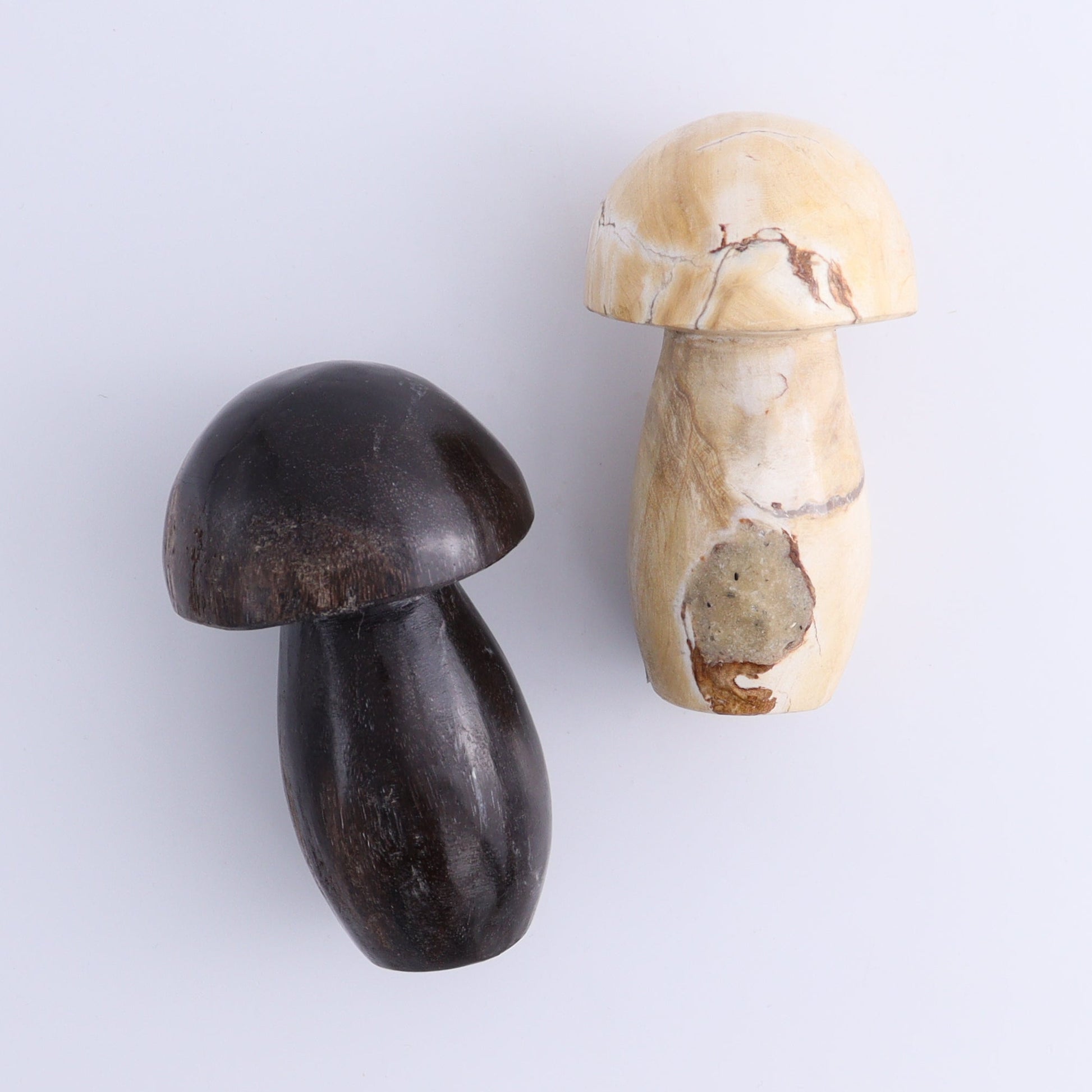 Petrified Wood Mushrooms Set of 4 - Expert Wholesale and Supplier of Wholesale Crystals & Bulk Gemstones, ["Indonesia","Mushrooms","Petrified Wood"]