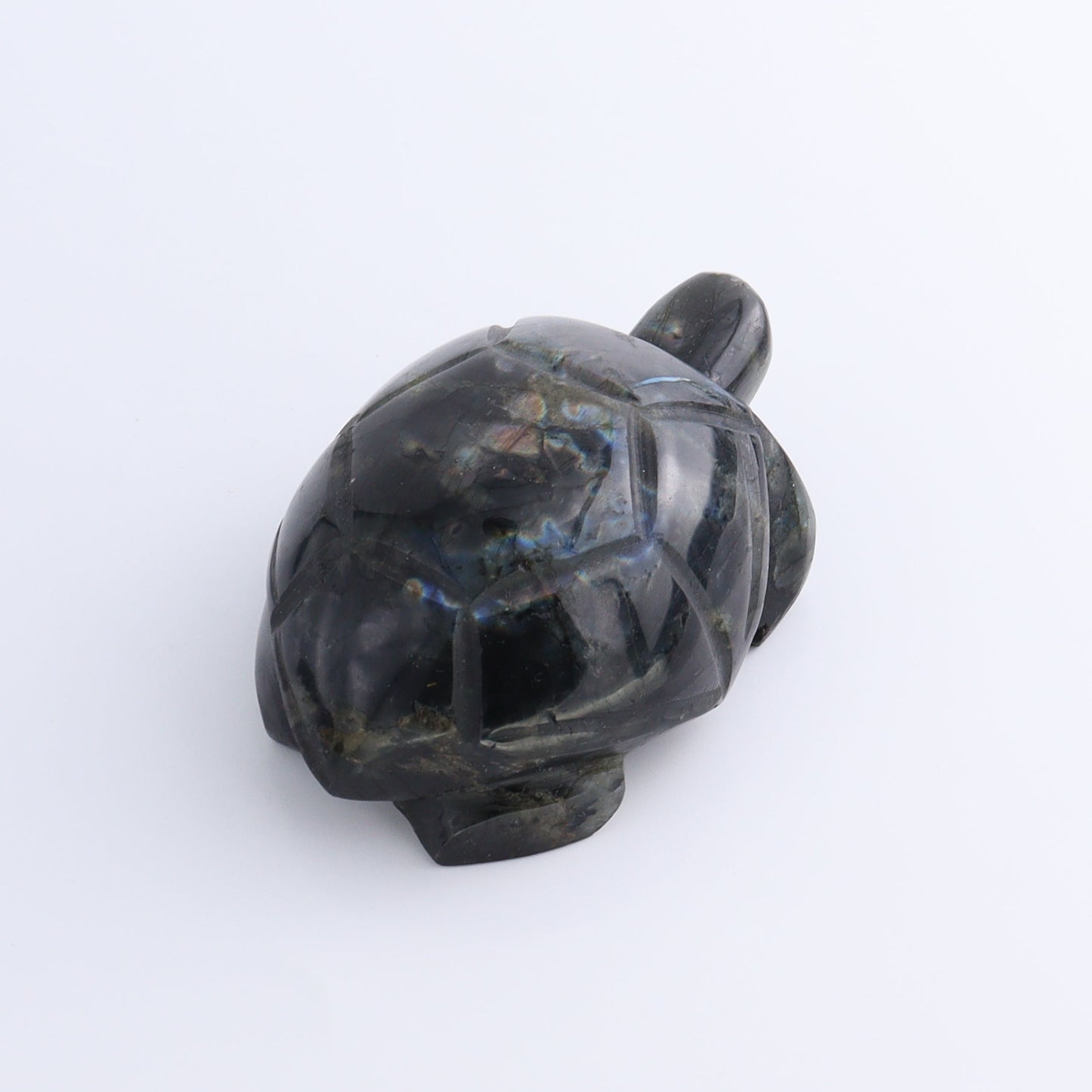 Labradorite Turtles Set of 5