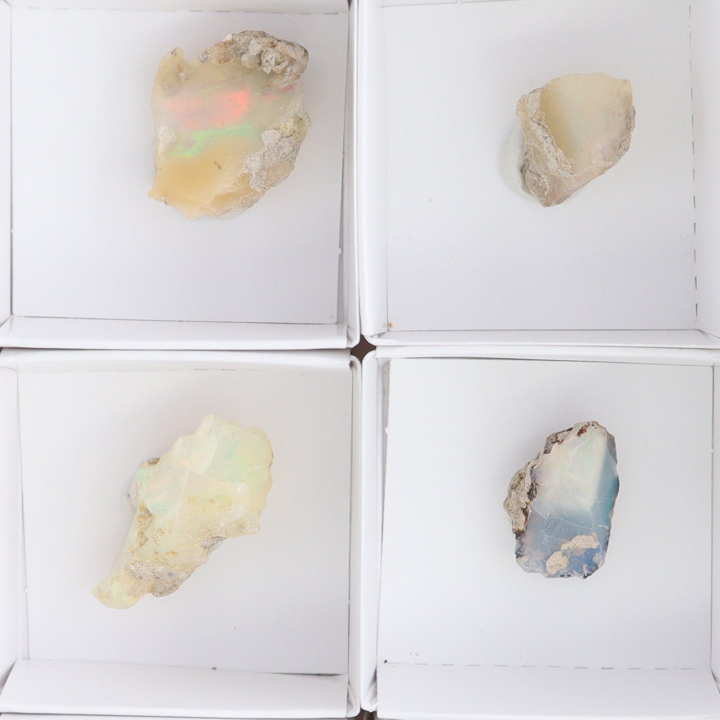 Ethiopian Opal Set of 10 - Expert Wholesale and Supplier of Wholesale Crystals & Bulk Gemstones, ["Ethiopia","ethiopian opal","Opal"]