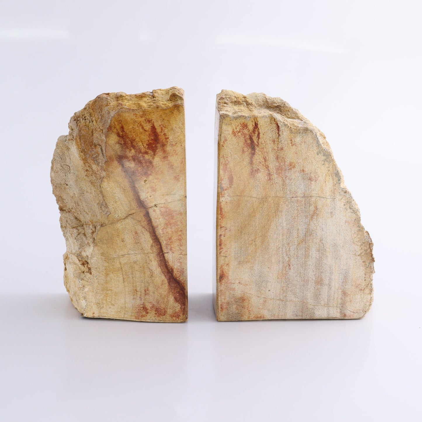 One Pair of Yellow/Brown Petrified Wood Bookends - Expert Wholesale and Supplier of Wholesale Crystals & Bulk Gemstones, ["Bookends","Indonesia","Petrified Wood"]