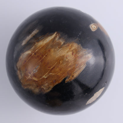 Petrified Wood Spheres Set of 2 - Expert Wholesale and Supplier of Wholesale Crystals & Bulk Gemstones, ["Indonesia","Petrified Wood","Spheres"]