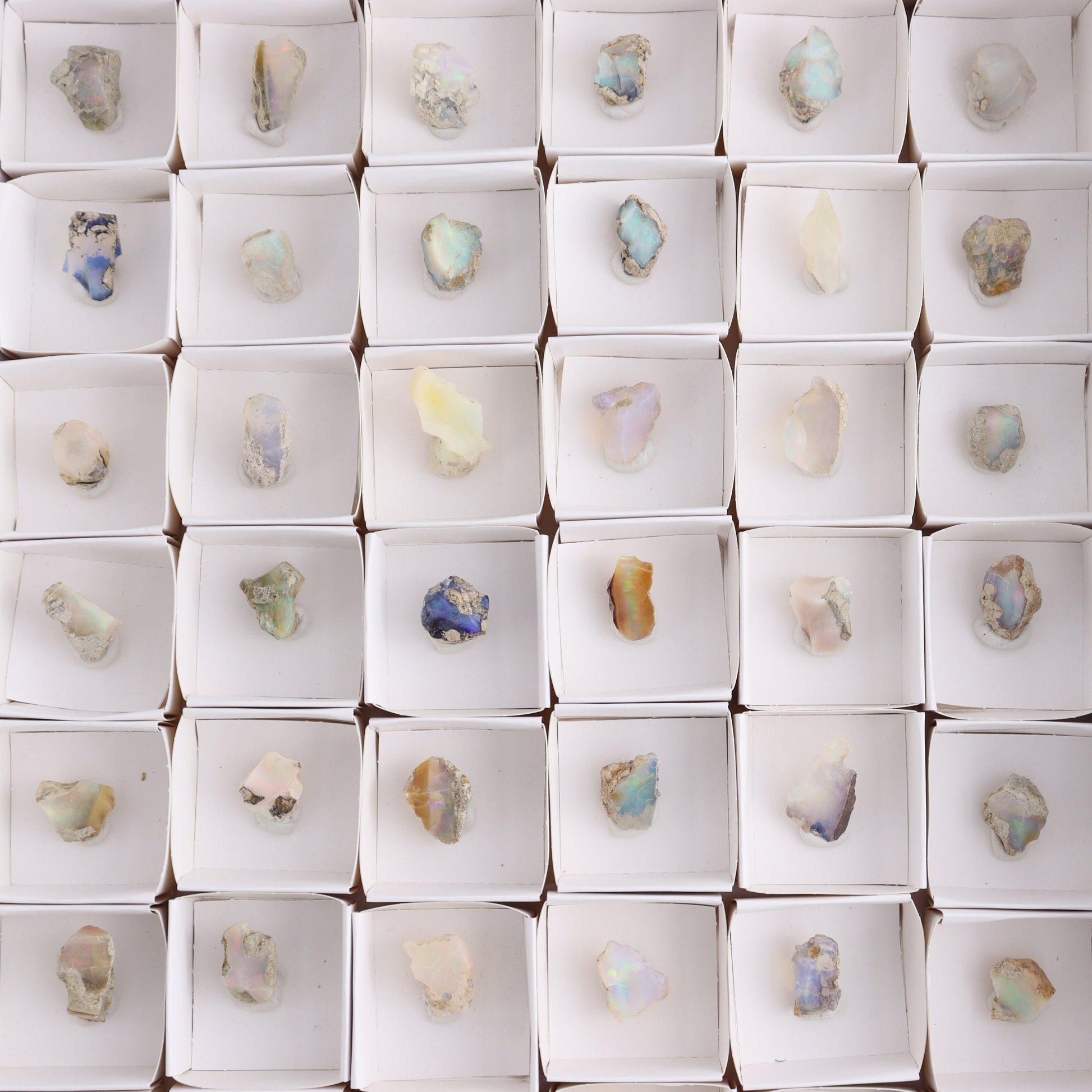 Ethiopian Opal Set of 54 - Expert Wholesale and Supplier of Wholesale Crystals & Bulk Gemstones, ["Ethiopia","ethiopian opal","Opal"]
