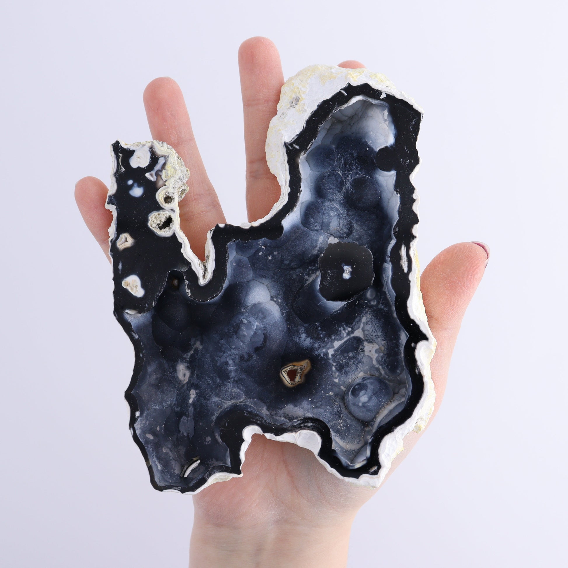 Agatized Coral Flat - Expert Wholesale and Supplier of Wholesale Crystals & Bulk Gemstones, ["Agate","Agatized Coral","Coral","United States"]