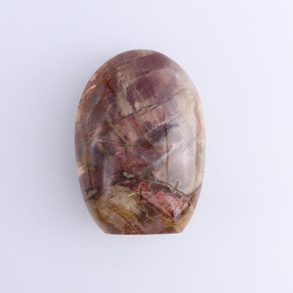 Petrified Wood Freeforms Set of 2 - Expert Wholesale and Supplier of Wholesale Crystals & Bulk Gemstones, ["Freeform","Freeforms","Madagascar","Petrified Wood"]