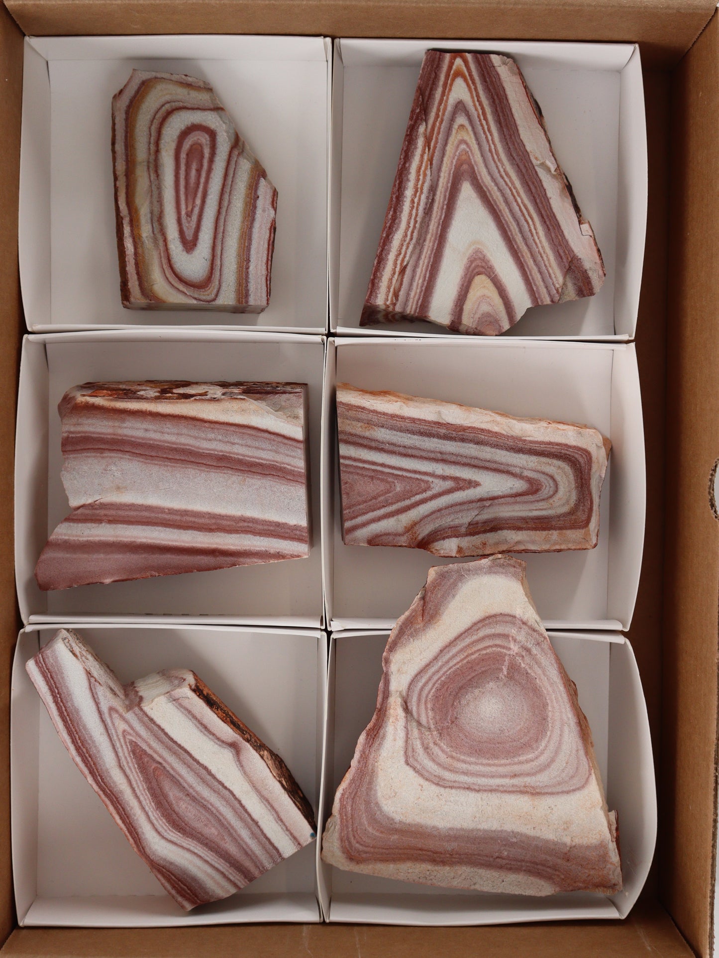 Rhyolite Slices and Slabs Set of 6 - Expert Wholesale and Supplier of Wholesale Crystals & Bulk Gemstones, []