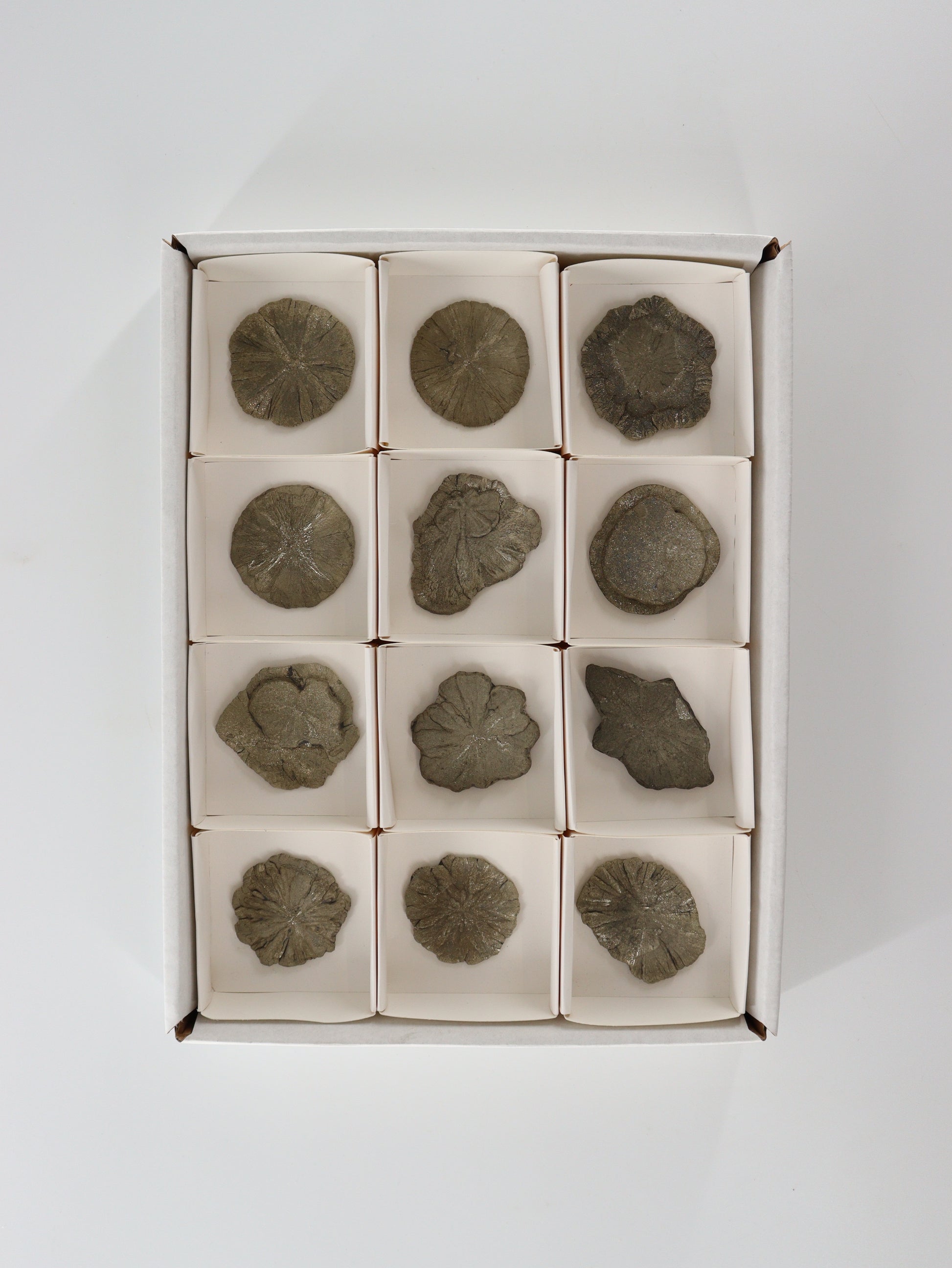 Pyrite Slices and Slabs Set of 12 - Expert Wholesale and Supplier of Wholesale Crystals & Bulk Gemstones, []