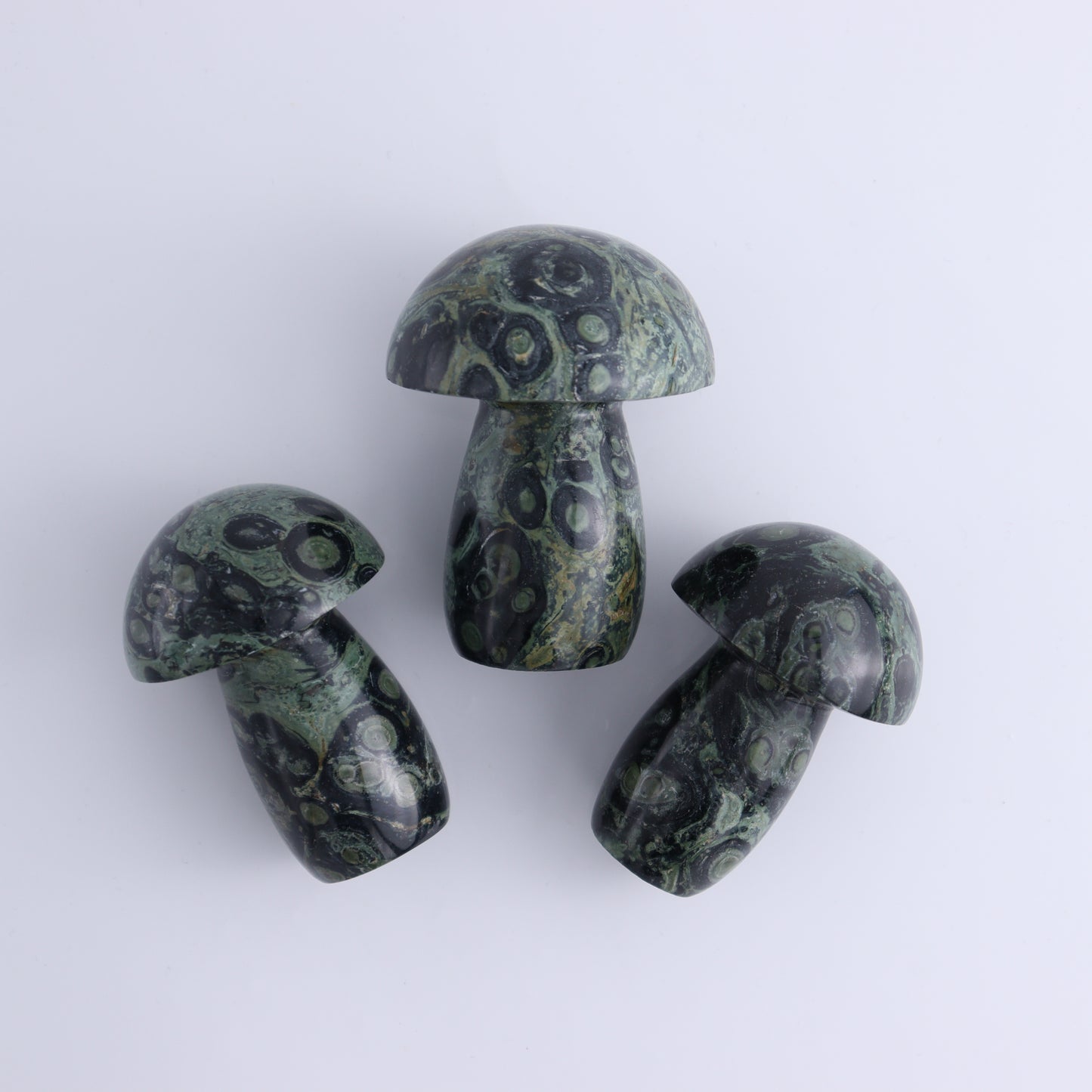 Kambaba Jasper Mushrooms Flat of 15 - Expert Wholesale and Supplier of Wholesale Crystals & Bulk Gemstones, ["Kambaba Jasper","Madagascar","Mushrooms"]