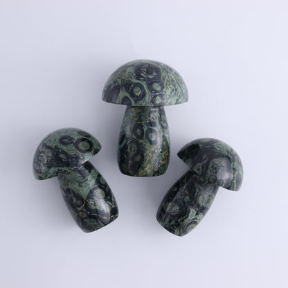 Kambaba Jasper Mushrooms Flat of 15 - Expert Wholesale and Supplier of Wholesale Crystals & Bulk Gemstones, ["Kambaba Jasper","Madagascar","Mushrooms"]