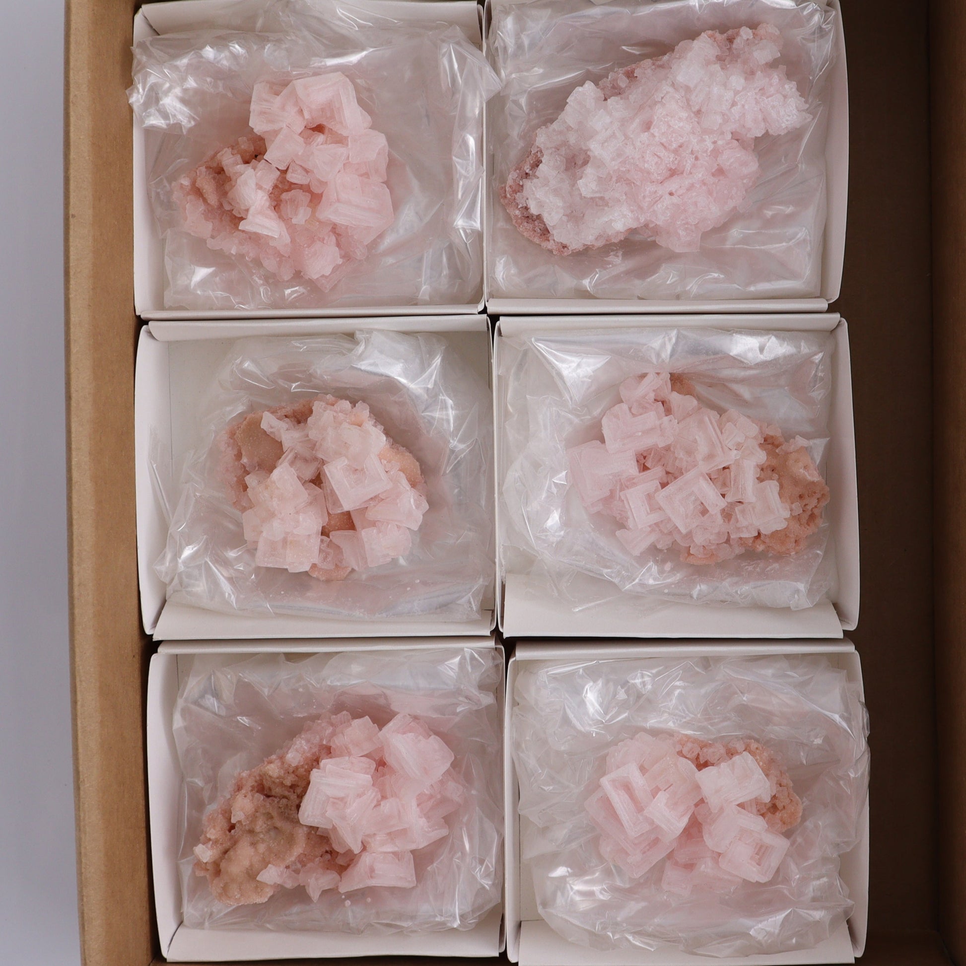 Searles Lake Halite Flat of 6 - Expert Wholesale and Supplier of Wholesale Crystals & Bulk Gemstones, ["Flats","Halite","United States"]