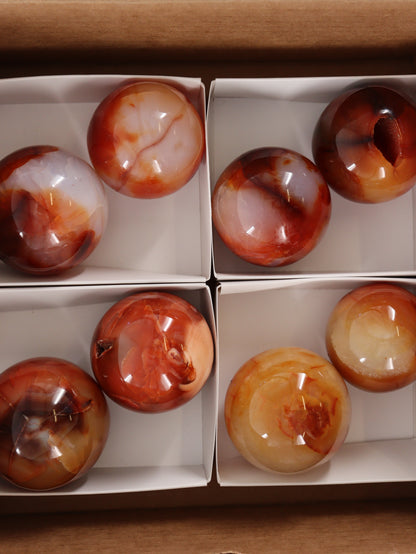 Carnelian Spheres Set of 8 - Expert Wholesale and Supplier of Wholesale Crystals & Bulk Gemstones, []