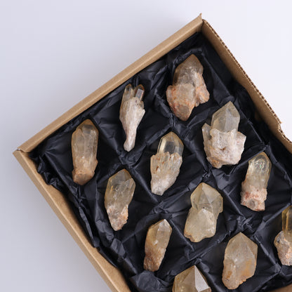 Imperfect Citrine Points Set of 12 - Expert Wholesale and Supplier of Wholesale Crystals & Bulk Gemstones, ["Citrine","Points","Rough","Roughs"]