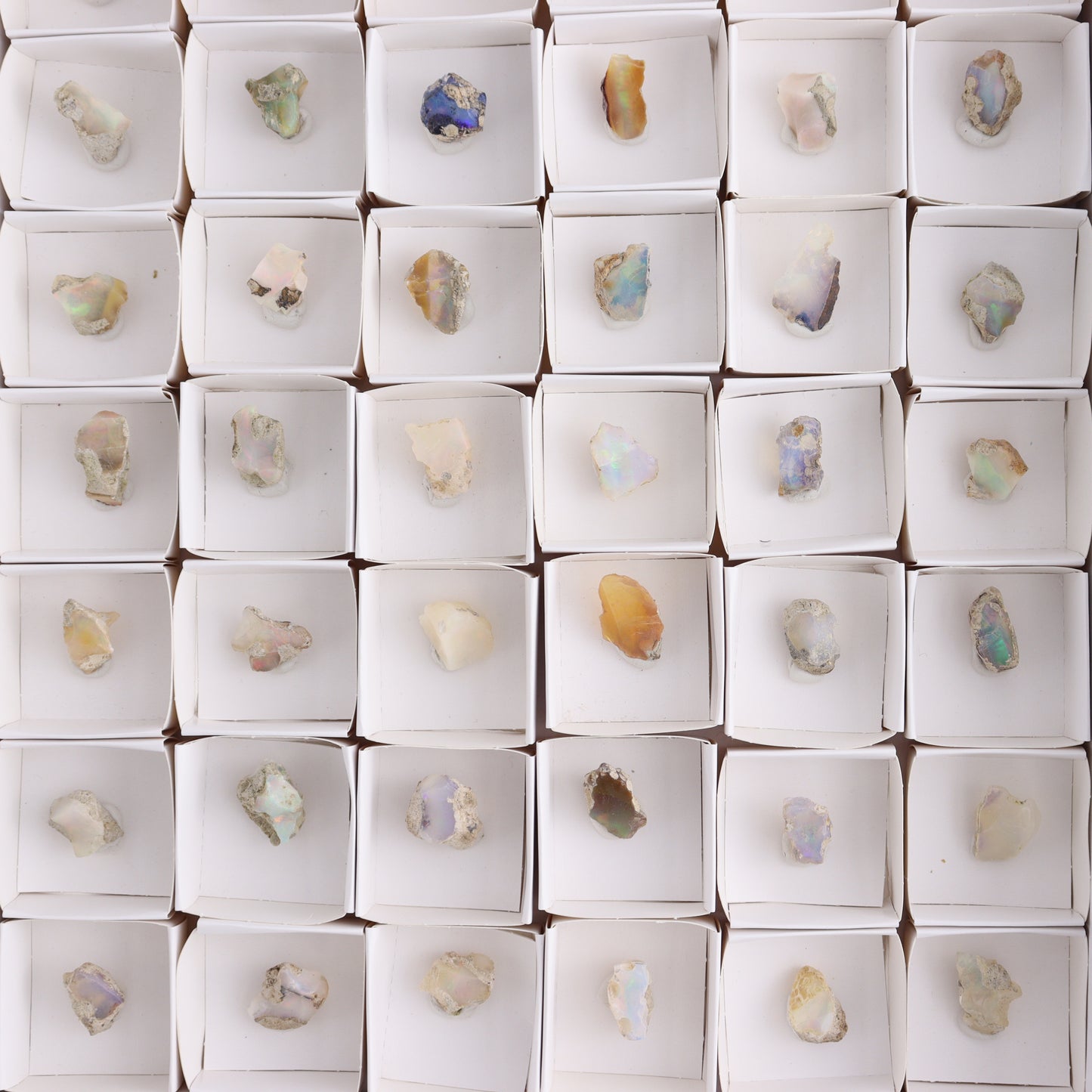 Ethiopian Opal Set of 54 - Expert Wholesale and Supplier of Wholesale Crystals & Bulk Gemstones, ["Ethiopia","ethiopian opal","Opal"]