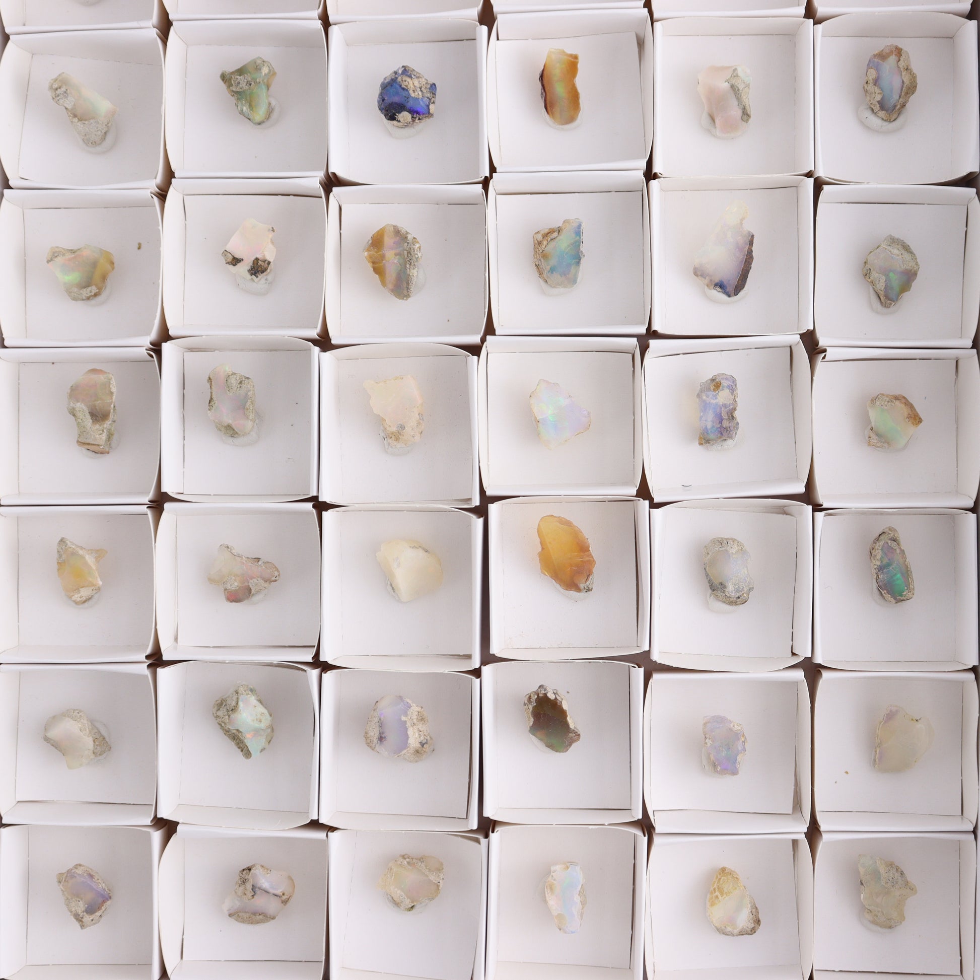 Ethiopian Opal Set of 54 - Expert Wholesale and Supplier of Wholesale Crystals & Bulk Gemstones, ["Ethiopia","ethiopian opal","Opal"]