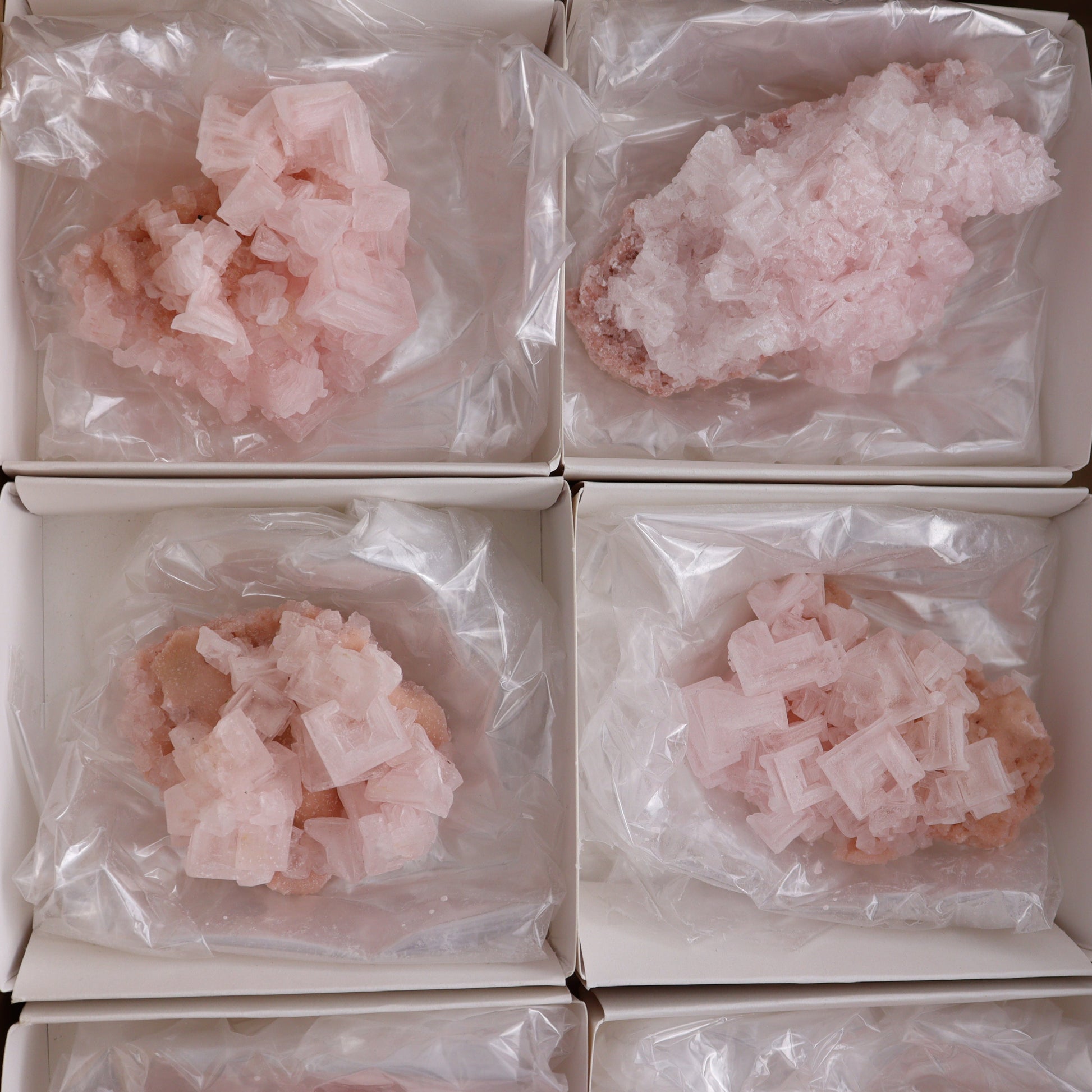 Searles Lake Halite Flat of 6 - Expert Wholesale and Supplier of Wholesale Crystals & Bulk Gemstones, ["Flats","Halite","United States"]