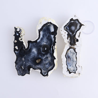 Agatized Coral Flat - Expert Wholesale and Supplier of Wholesale Crystals & Bulk Gemstones, ["Agate","Agatized Coral","Coral","United States"]