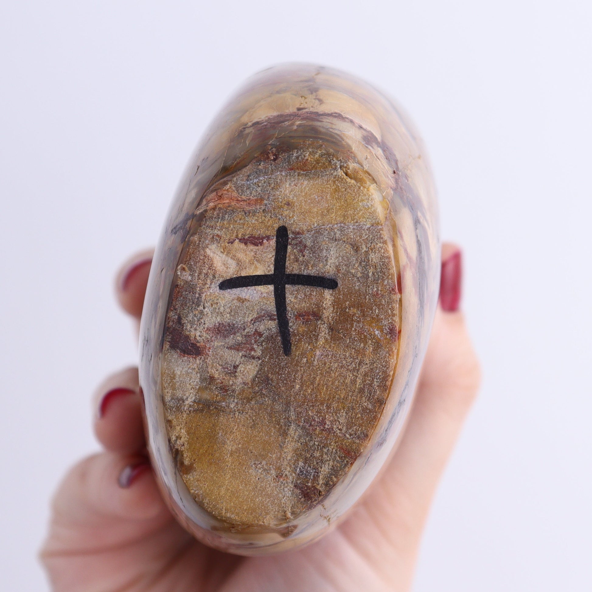 Petrified Wood Freeforms Set of 2 - Expert Wholesale and Supplier of Wholesale Crystals & Bulk Gemstones, ["Freeform","Freeforms","Madagascar","Petrified Wood"]