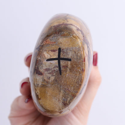 Petrified Wood Freeforms Set of 2 - Expert Wholesale and Supplier of Wholesale Crystals & Bulk Gemstones, ["Freeform","Freeforms","Madagascar","Petrified Wood"]