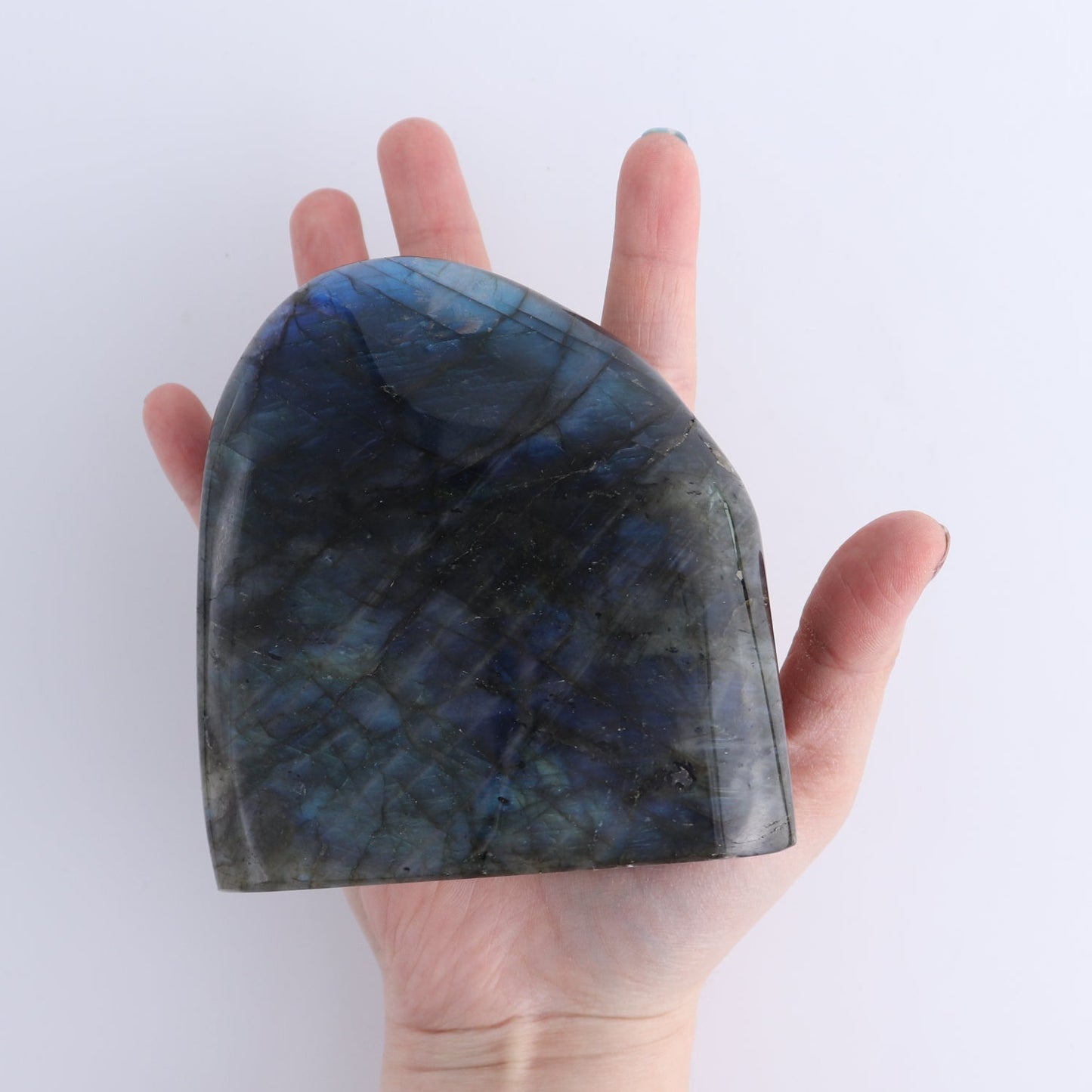 Labradorite Freeform Set of 2