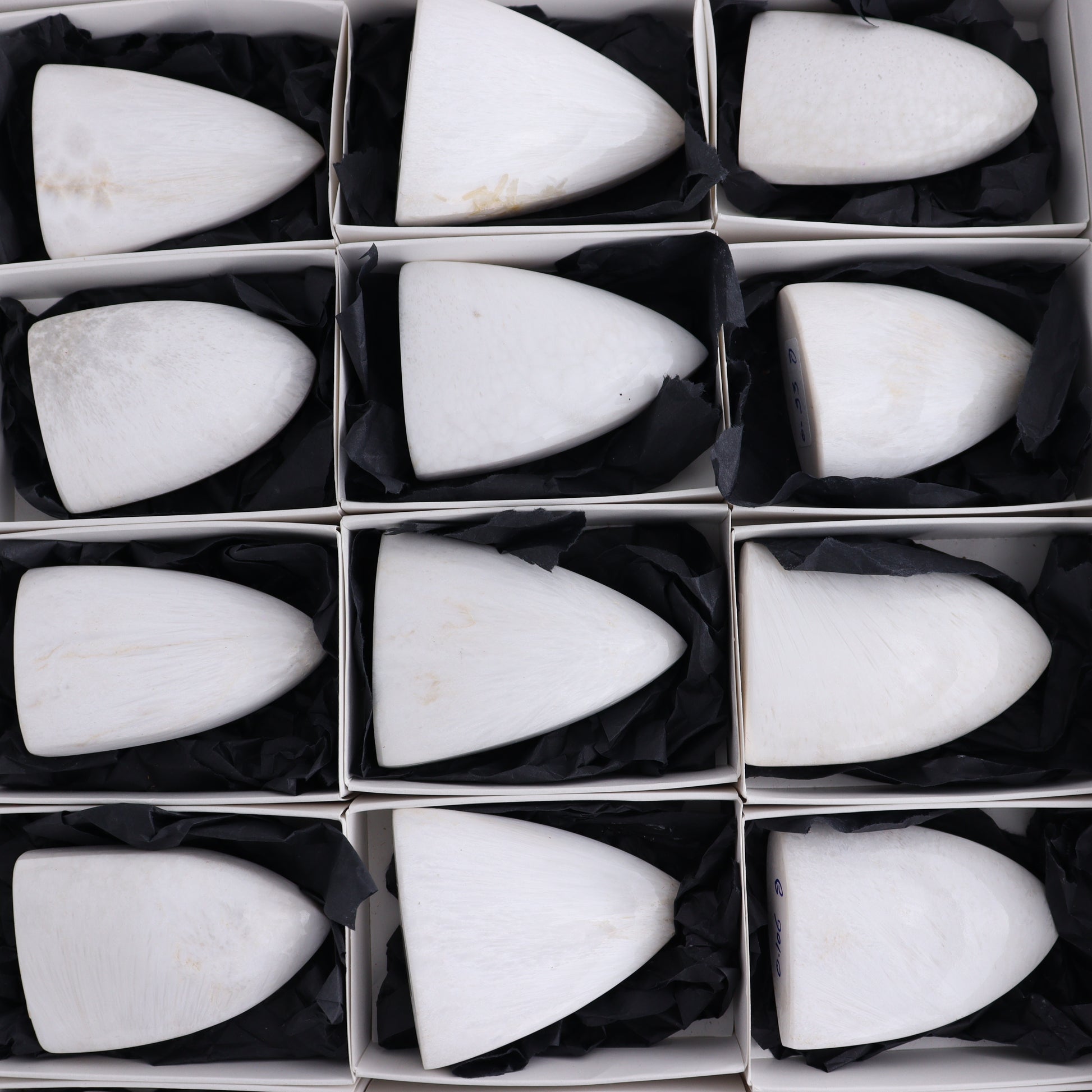 Scolecite Freeforms Flat of 18 - Expert Wholesale and Supplier of Wholesale Crystals & Bulk Gemstones, ["Freeforms","India","Scolecite"]