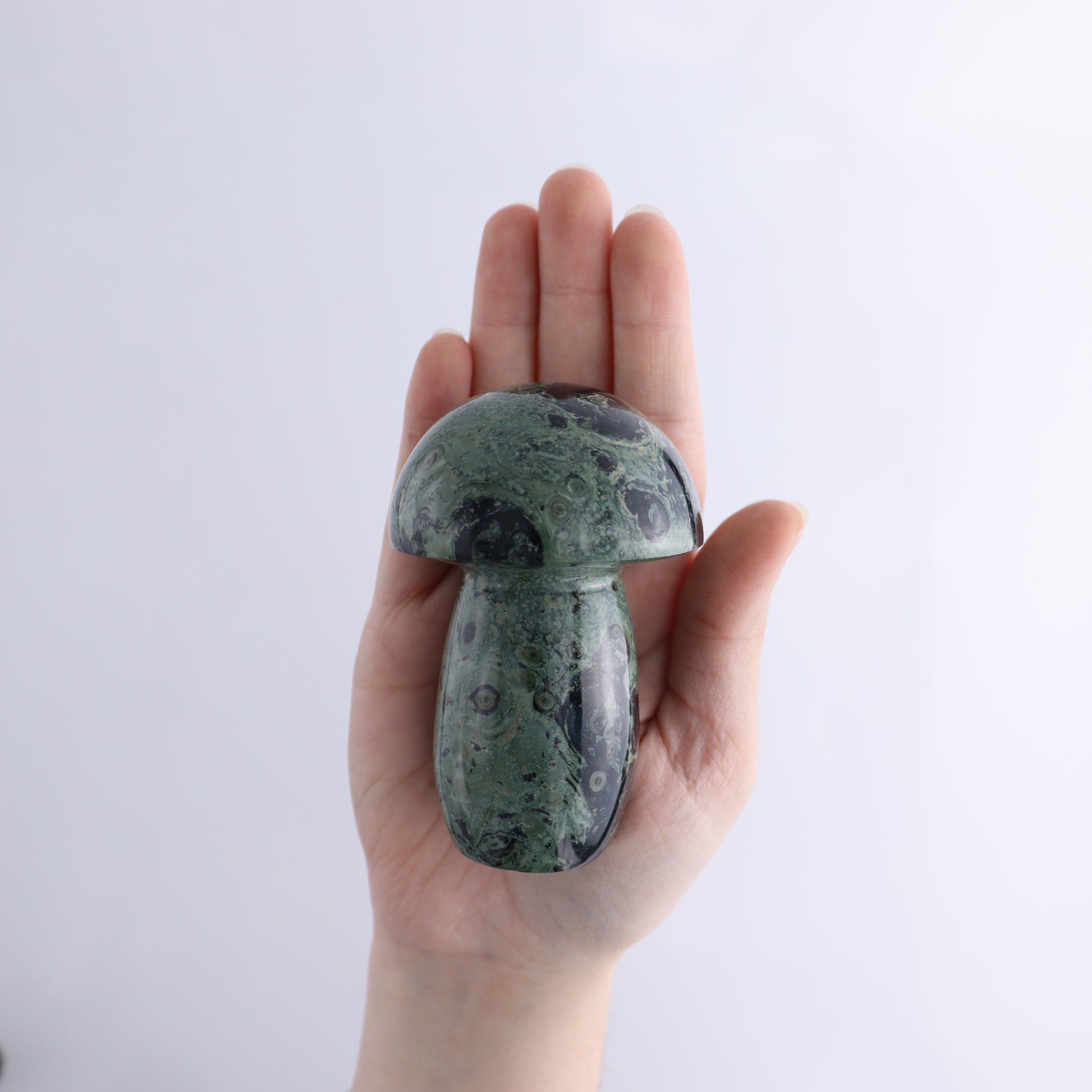 Kambaba Jasper Mushrooms Flat of 15 - Expert Wholesale and Supplier of Wholesale Crystals & Bulk Gemstones, ["Kambaba Jasper","Madagascar","Mushrooms"]