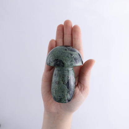 Kambaba Jasper Mushrooms Flat of 15 - Expert Wholesale and Supplier of Wholesale Crystals & Bulk Gemstones, ["Kambaba Jasper","Madagascar","Mushrooms"]