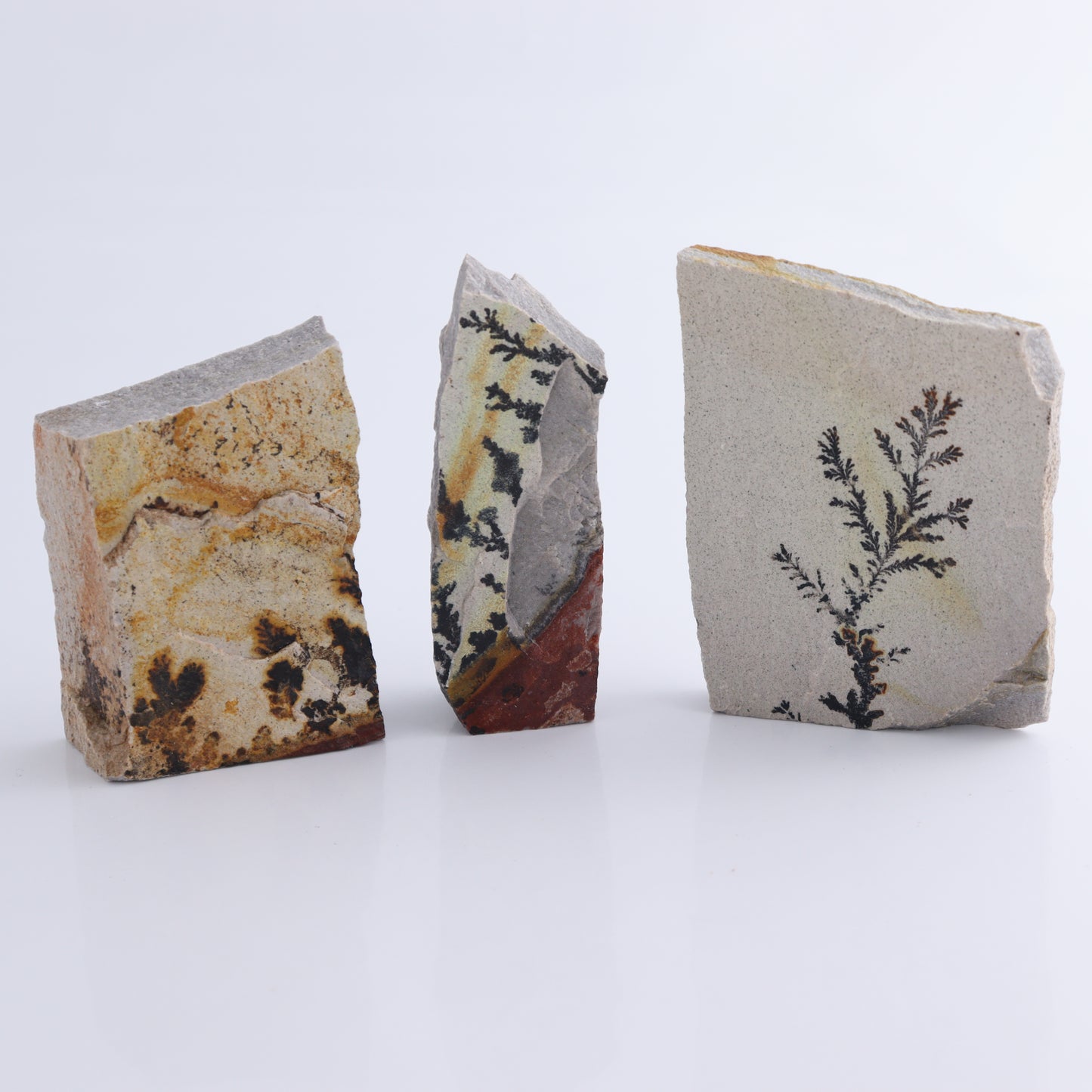 Dendrites Flat Set of 5 - Expert Wholesale and Supplier of Wholesale Crystals & Bulk Gemstones, ["Dendrite","Flats"]