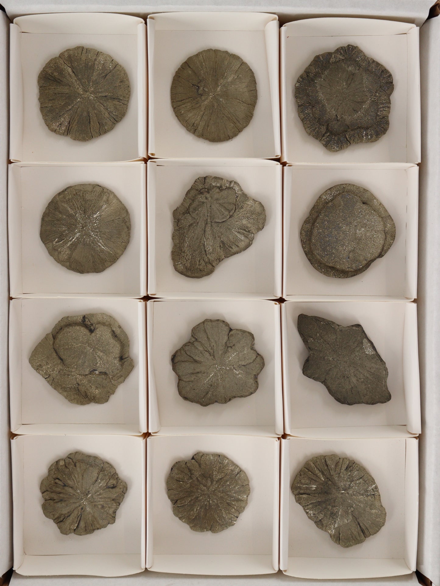 Pyrite Slices and Slabs Set of 12 - Expert Wholesale and Supplier of Wholesale Crystals & Bulk Gemstones, []