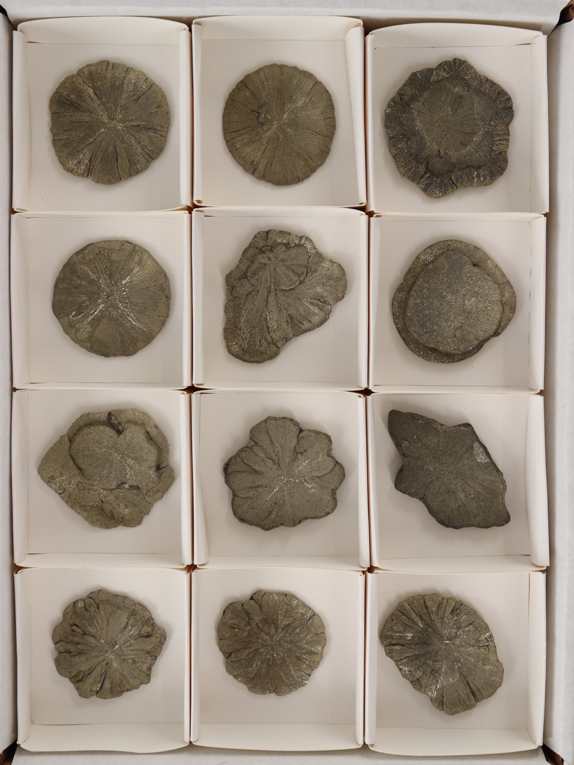 Pyrite Slices and Slabs Set of 12 - Expert Wholesale and Supplier of Wholesale Crystals & Bulk Gemstones, []