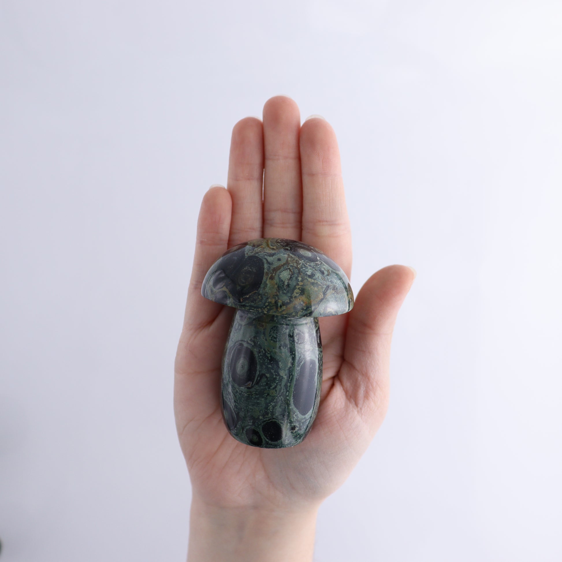 Kambaba Jasper Mushrooms Flat of 15 - Expert Wholesale and Supplier of Wholesale Crystals & Bulk Gemstones, ["Kambaba Jasper","Madagascar","Mushrooms"]