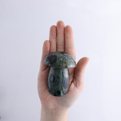Kambaba Jasper Mushrooms Flat of 15 - Expert Wholesale and Supplier of Wholesale Crystals & Bulk Gemstones, ["Kambaba Jasper","Madagascar","Mushrooms"]