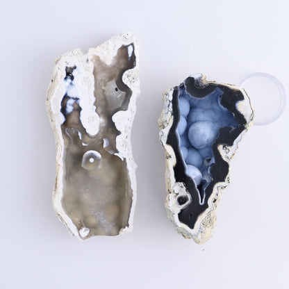 Agatized Coral Flat - Expert Wholesale and Supplier of Wholesale Crystals & Bulk Gemstones, ["Agate","Agatized Coral","Coral","United States"]