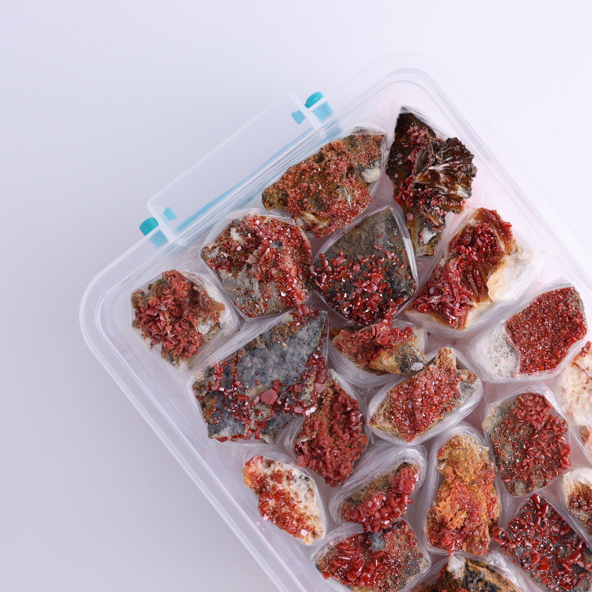Vanadinite Flat from Morocco - Expert Wholesale and Supplier of Wholesale Crystals & Bulk Gemstones, ["Barite","Flats","Morocco"]