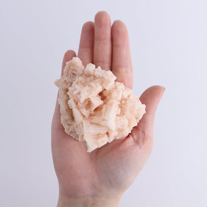 Halite and Halite on Trona from Owens Lake Set of 6 - Expert Wholesale and Supplier of Wholesale Crystals & Bulk Gemstones, ["California","Flats","Halite","halite on trona","Pink Halite","United States"]