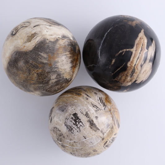 Petrified Wood Spheres Set of 3 - Expert Wholesale and Supplier of Wholesale Crystals & Bulk Gemstones, ["Indonesia","Petrified Wood","Spheres"]