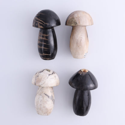 Petrified Wood Mushrooms Set of 4 - Expert Wholesale and Supplier of Wholesale Crystals & Bulk Gemstones, ["Indonesia","Mushrooms","Petrified Wood"]