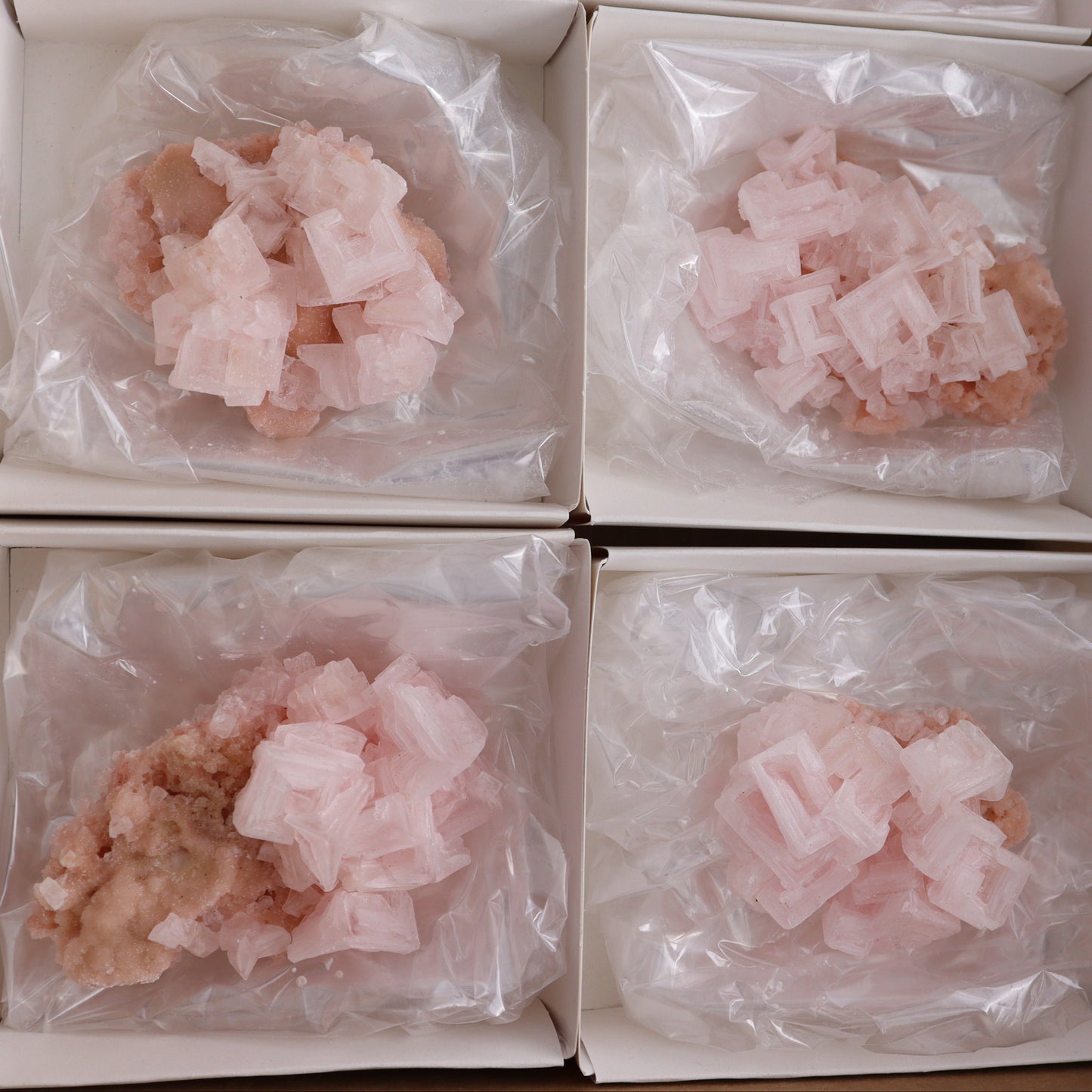 Searles Lake Halite Flat of 6 - Expert Wholesale and Supplier of Wholesale Crystals & Bulk Gemstones, ["Flats","Halite","United States"]