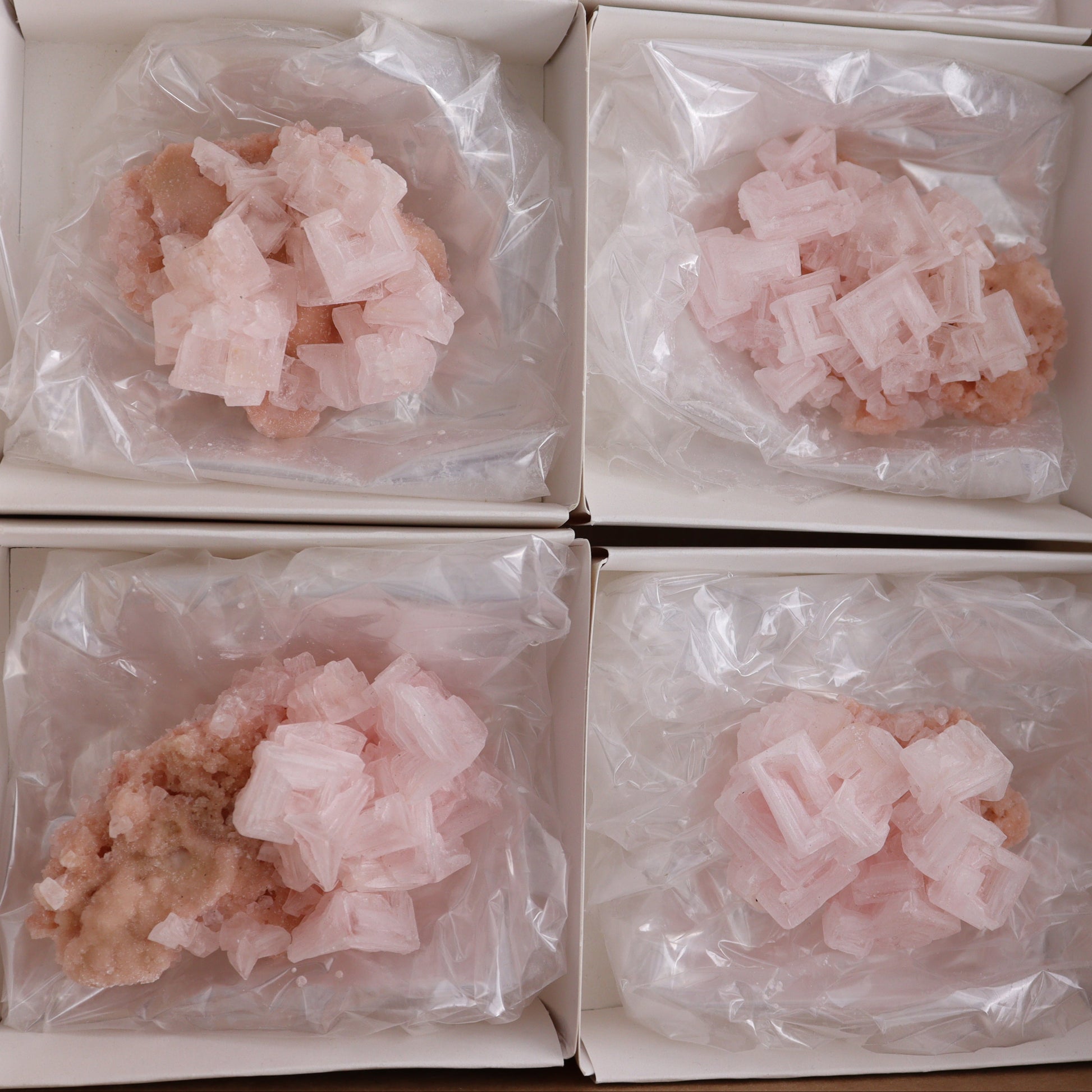 Searles Lake Halite Flat of 6 - Expert Wholesale and Supplier of Wholesale Crystals & Bulk Gemstones, ["Flats","Halite","United States"]