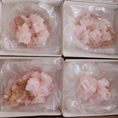 Searles Lake Halite Flat of 6 - Expert Wholesale and Supplier of Wholesale Crystals & Bulk Gemstones, ["Flats","Halite","United States"]
