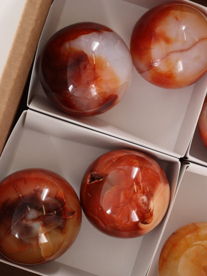 Carnelian Spheres Set of 8 - Expert Wholesale and Supplier of Wholesale Crystals & Bulk Gemstones, []