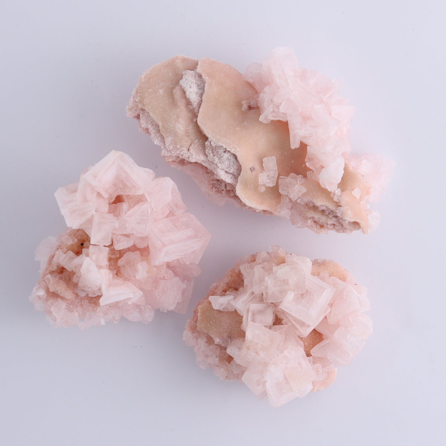 Searles Lake Halite Flat of 6 - Expert Wholesale and Supplier of Wholesale Crystals & Bulk Gemstones, ["Flats","Halite","United States"]