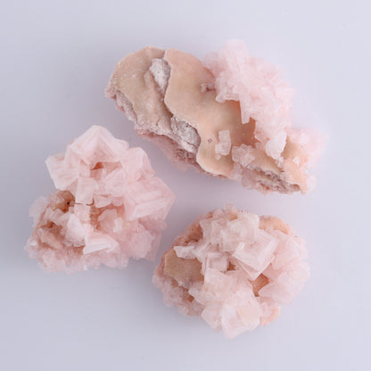 Searles Lake Halite Flat of 6 - Expert Wholesale and Supplier of Wholesale Crystals & Bulk Gemstones, ["Flats","Halite","United States"]