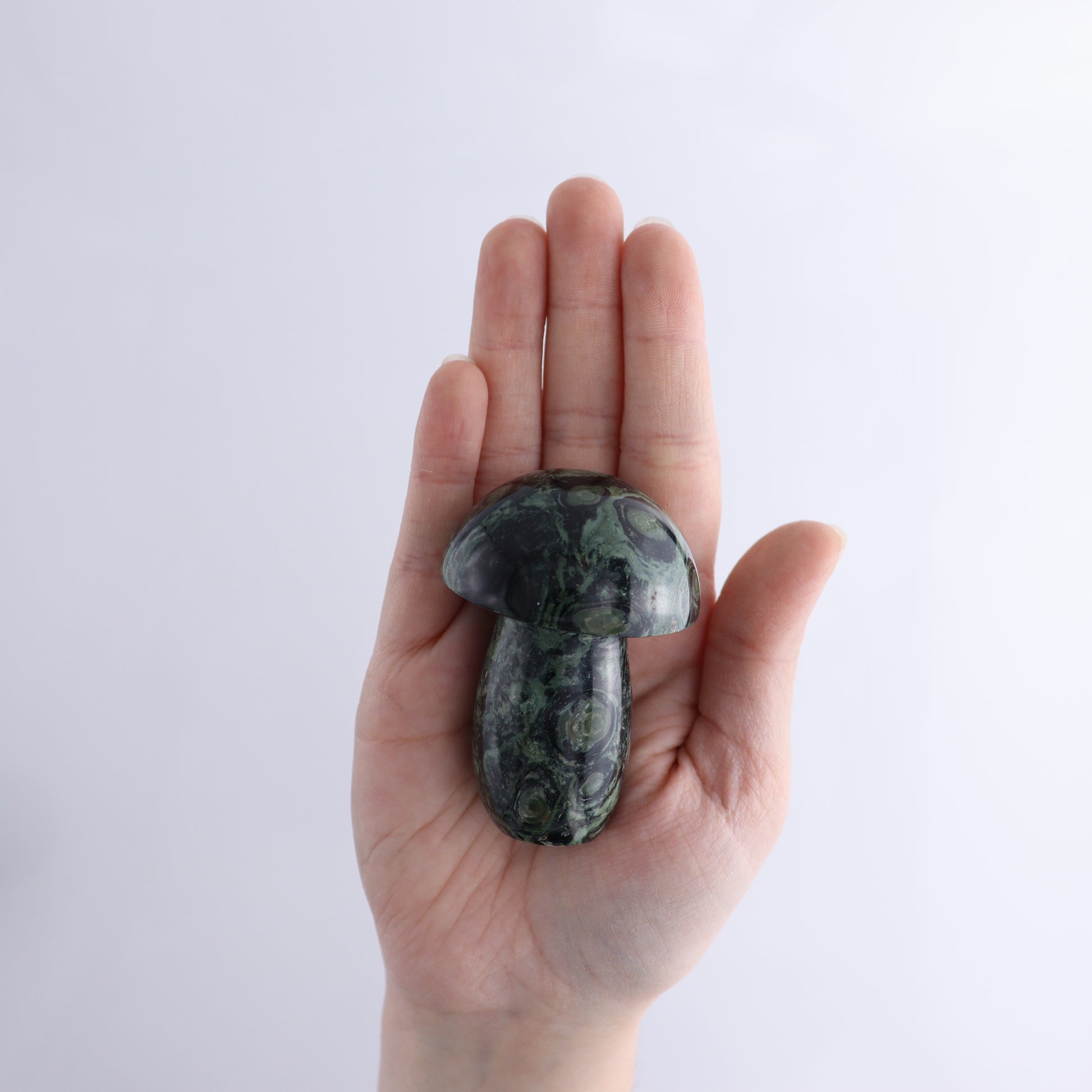 Kambaba Jasper Mushrooms Flat of 15 - Expert Wholesale and Supplier of Wholesale Crystals & Bulk Gemstones, ["Kambaba Jasper","Madagascar","Mushrooms"]