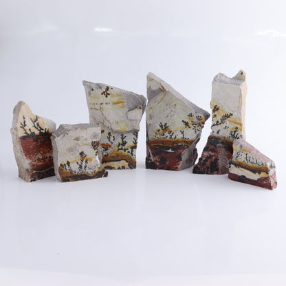 Dendrites Flat Set of 6 - Expert Wholesale and Supplier of Wholesale Crystals & Bulk Gemstones, ["Dendrite","Flats"]