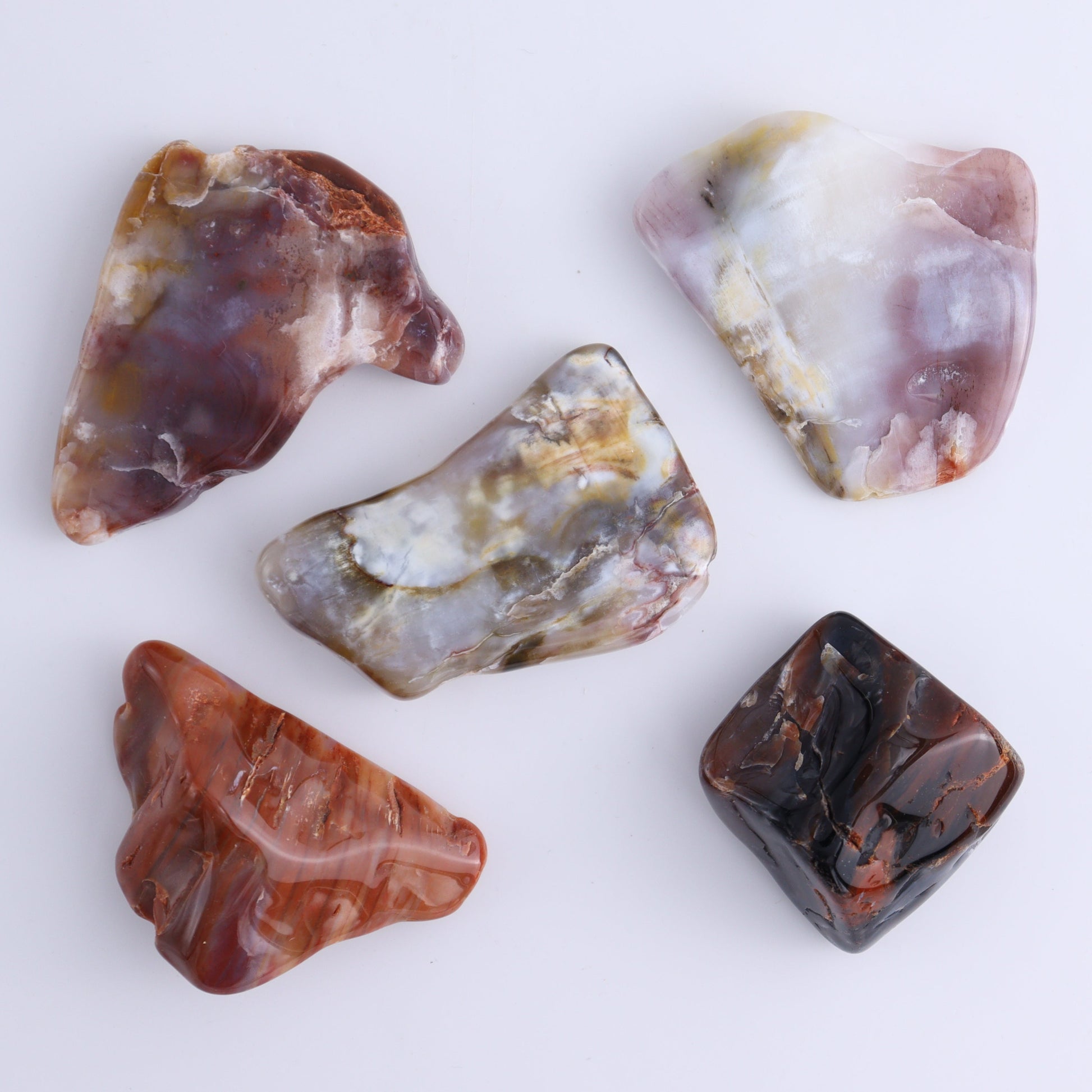 Arizona Petrified Wood Set of 35 - Expert Wholesale and Supplier of Wholesale Crystals & Bulk Gemstones, Arizona Petrified Wood, Freeform, Freeforms, Petrified Wood, United States