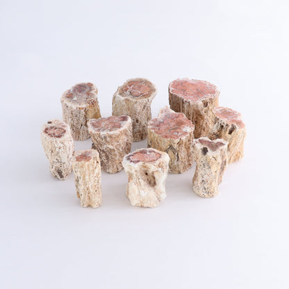 Petrified Wood Cut Bases Set of 10 - Expert Wholesale and Supplier of Wholesale Crystals & Bulk Gemstones, ["Cut Base","Petrified Wood"]