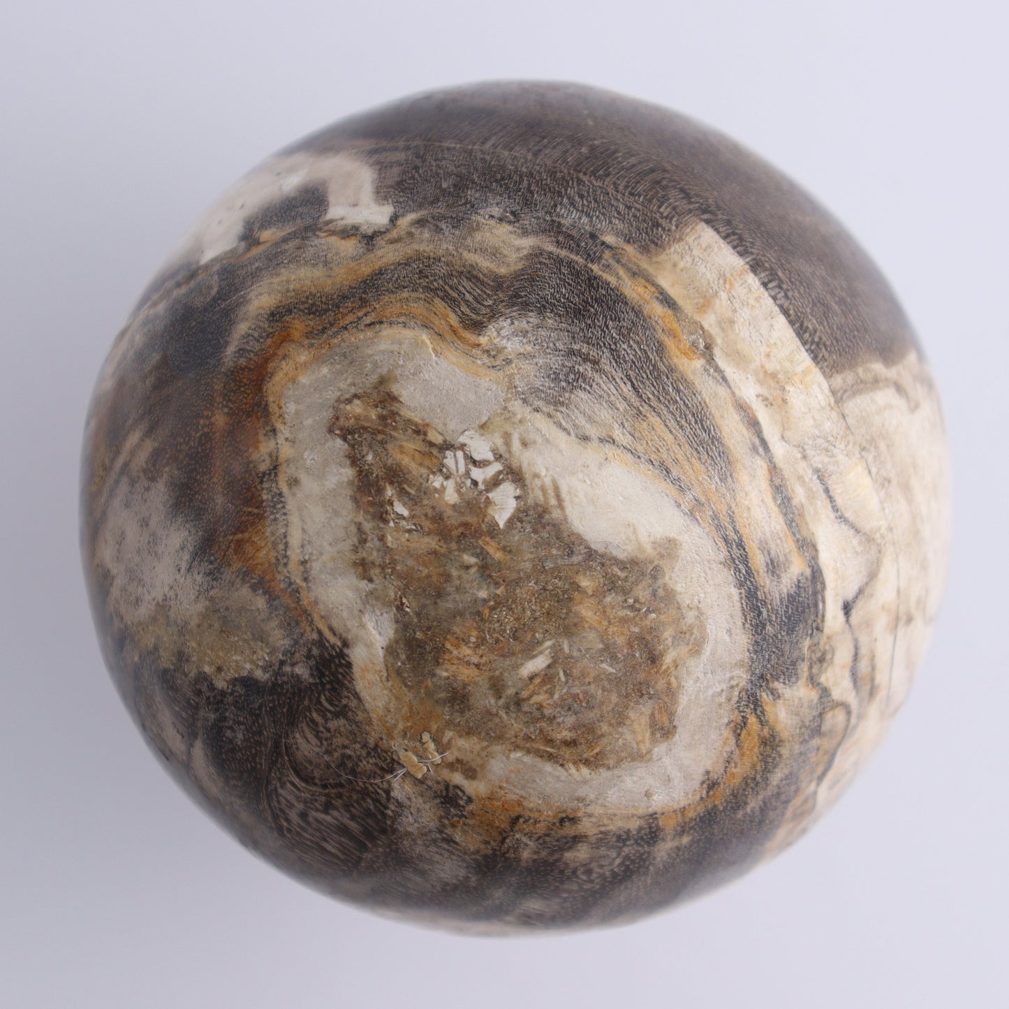 Petrified Wood Spheres Set of 3 - Expert Wholesale and Supplier of Wholesale Crystals & Bulk Gemstones, ["Indonesia","Petrified Wood","Spheres"]