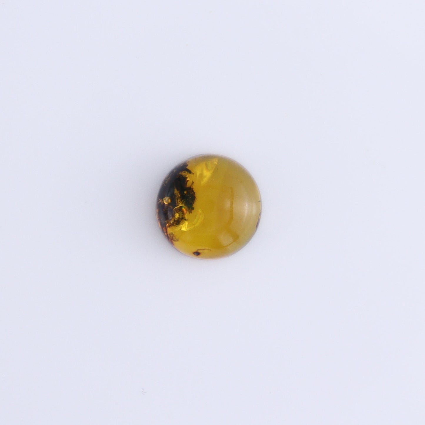 Chiapas Mexico Amber Cabs Set of 8 - Expert Wholesale and Supplier of Wholesale Crystals & Bulk Gemstones, ["Amber","Cabs","Chiapas Amber","Mexico"]
