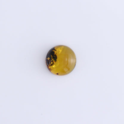 Chiapas Mexico Amber Cabs Set of 8 - Expert Wholesale and Supplier of Wholesale Crystals & Bulk Gemstones, ["Amber","Cabs","Chiapas Amber","Mexico"]