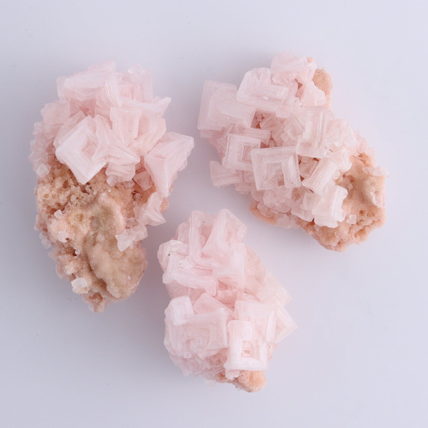 Searles Lake Halite Flat of 6 - Expert Wholesale and Supplier of Wholesale Crystals & Bulk Gemstones, ["Flats","Halite","United States"]